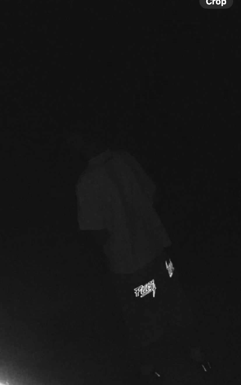 ESCAPE SHORTS